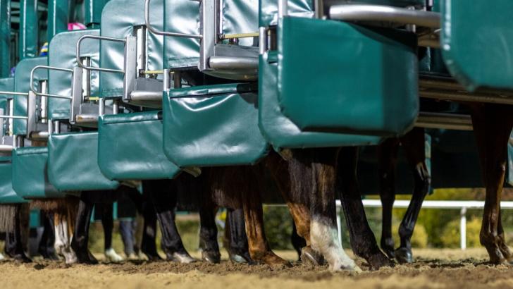 Dundalk horse racing